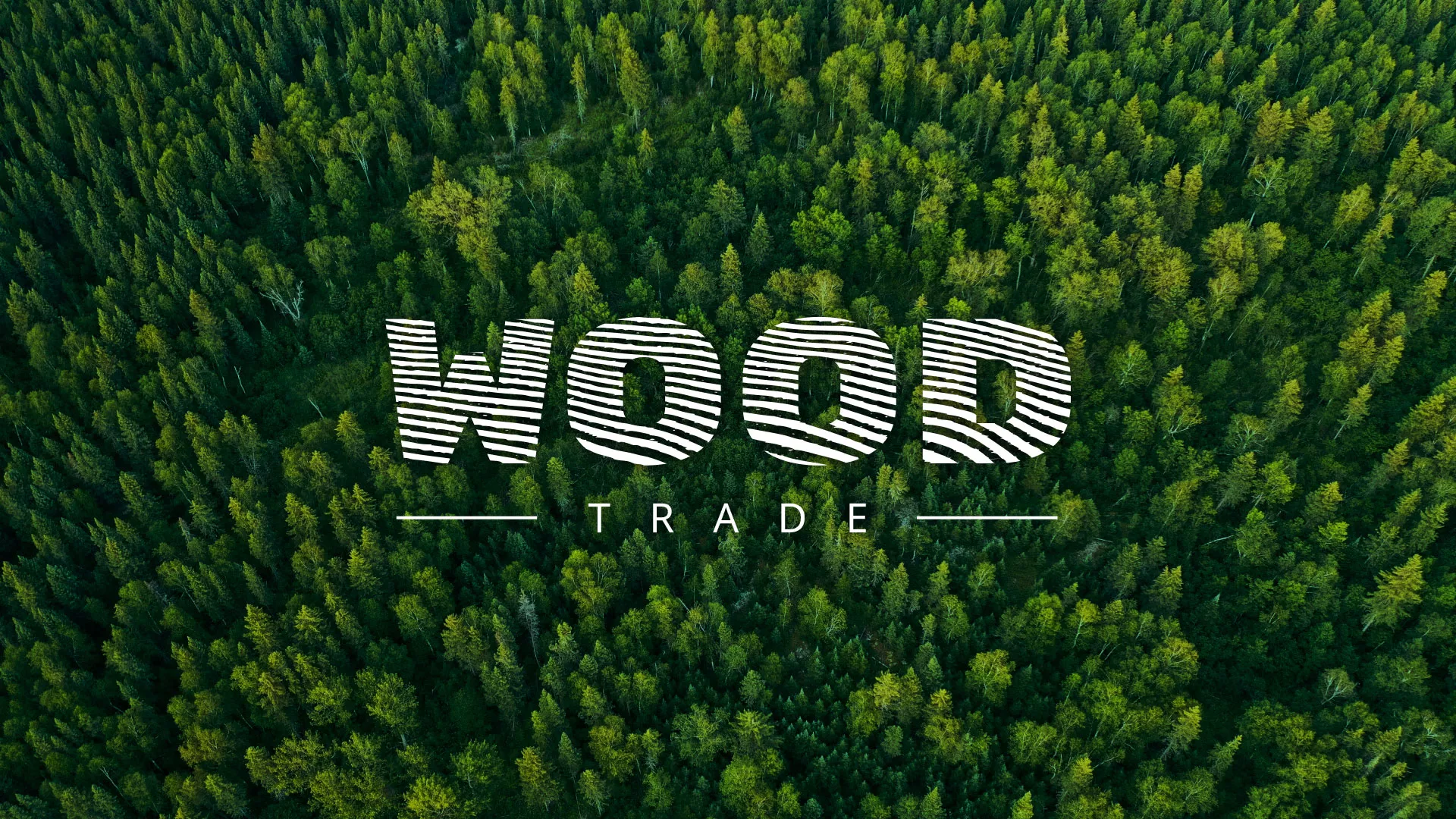 Разработка интернет-магазина компании «Wood Trade» в Рязани